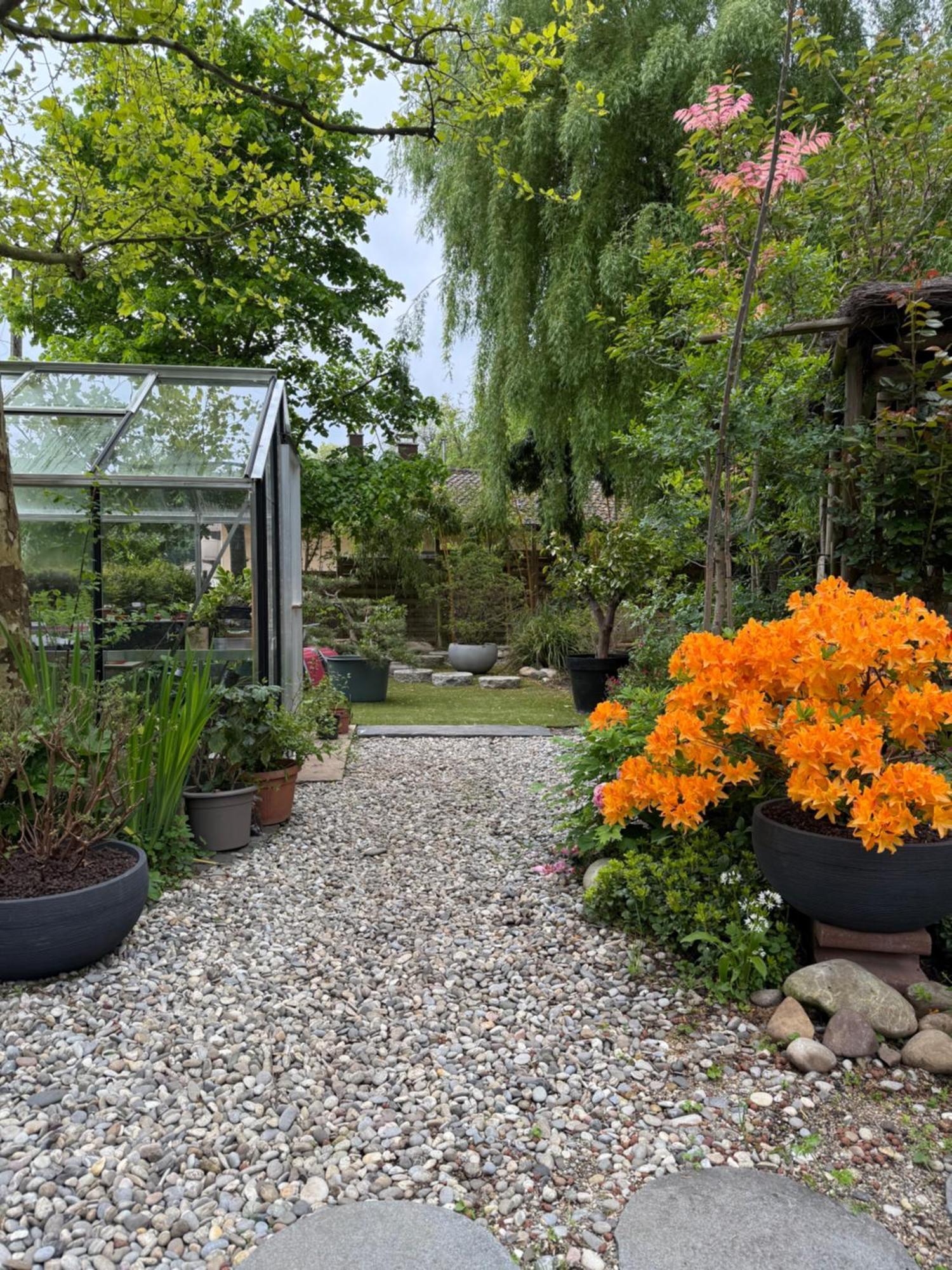 Le Jardin De La Tuilerie Alsace Hotel Pfastatt Luaran gambar