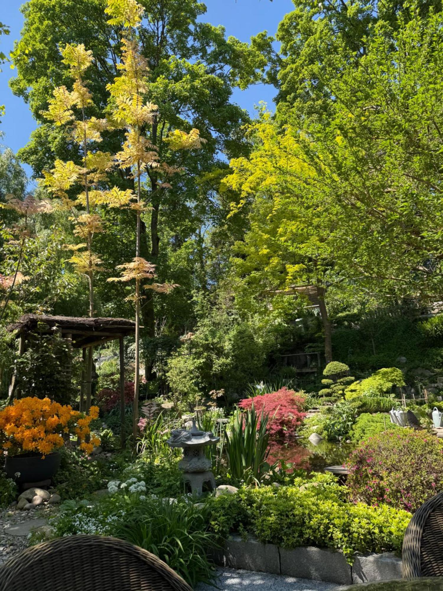 Le Jardin De La Tuilerie Alsace Hotel Pfastatt Luaran gambar