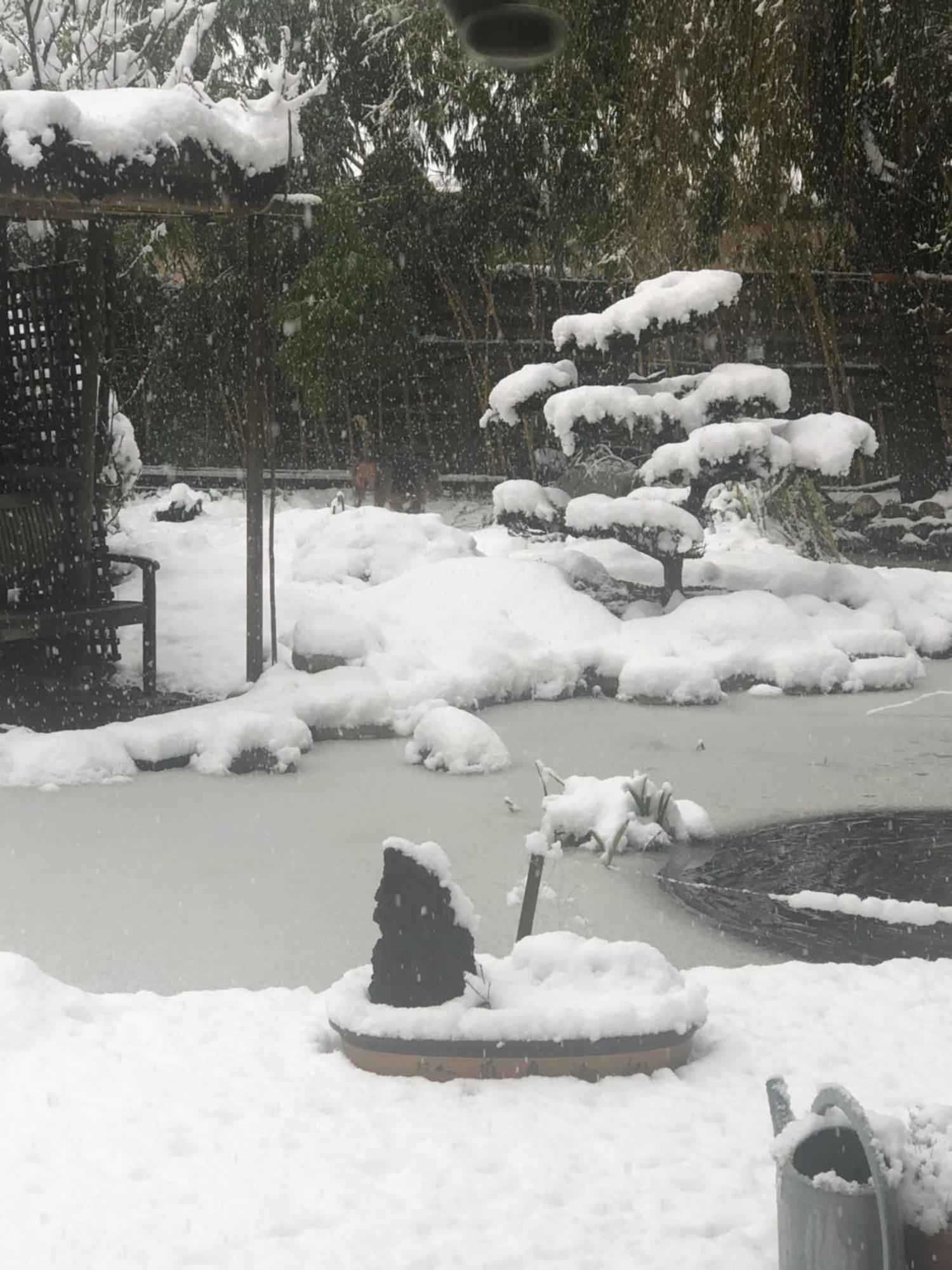 Le Jardin De La Tuilerie Alsace Hotel Pfastatt Luaran gambar