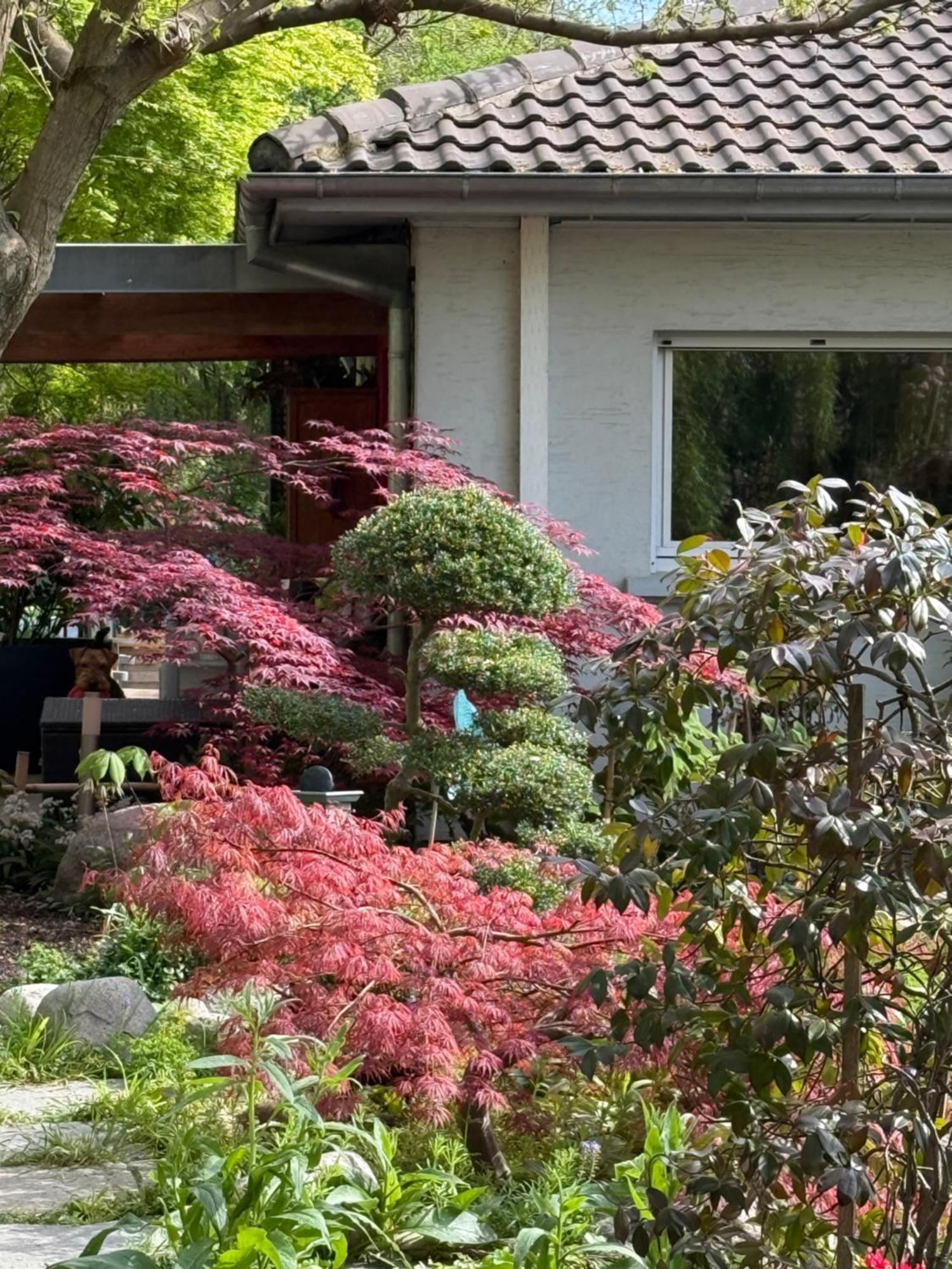 Le Jardin De La Tuilerie Alsace Hotel Pfastatt Luaran gambar
